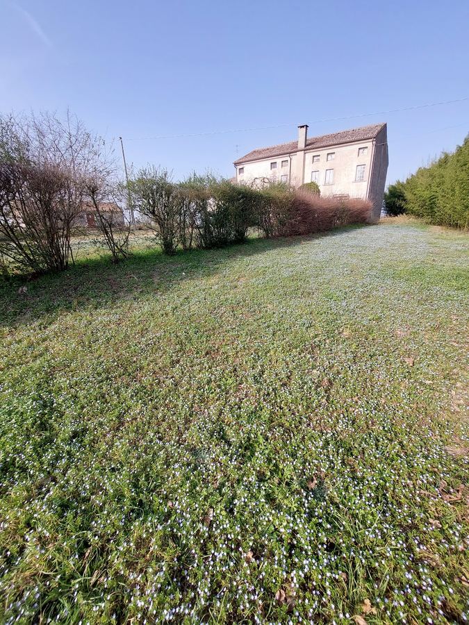 House – Venetian farmhouse for sale in Polesella, Italy