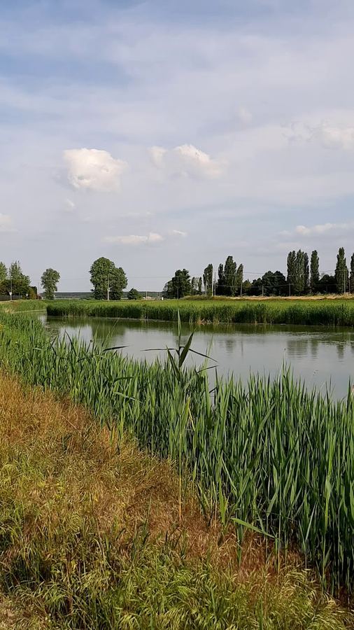 Nature – Venetian farmhouse for sale in Polesella, Italy
